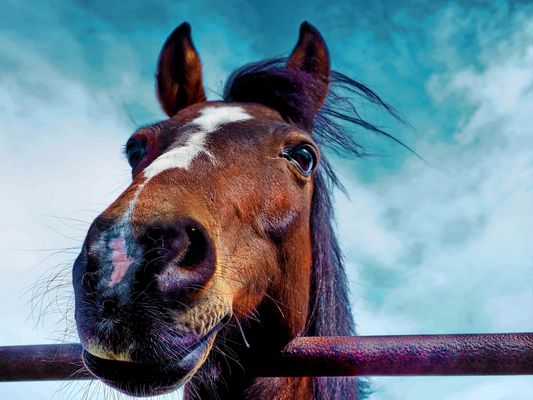 Das Leben ist... Startseite