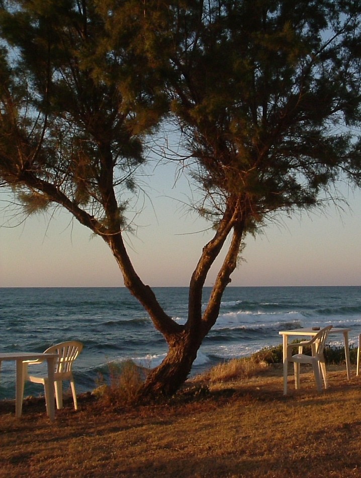 Das Leben kann so schön sein auf Kreta von Angelika Lyakamwa