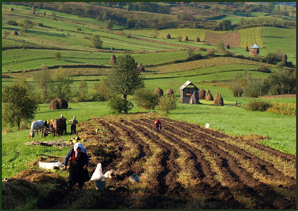 Das Leben mit der Landschaft