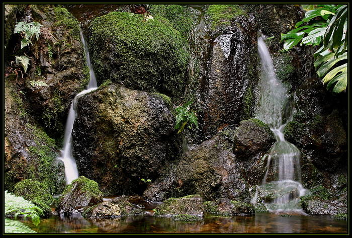 Das Lebenselexier Wasser