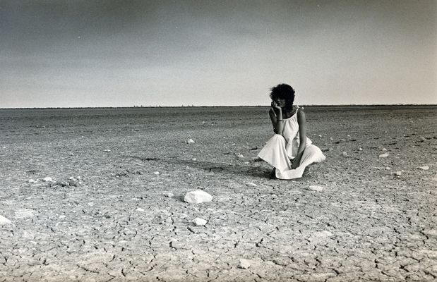 Das letze bild aus ; einsam in der _Camerque