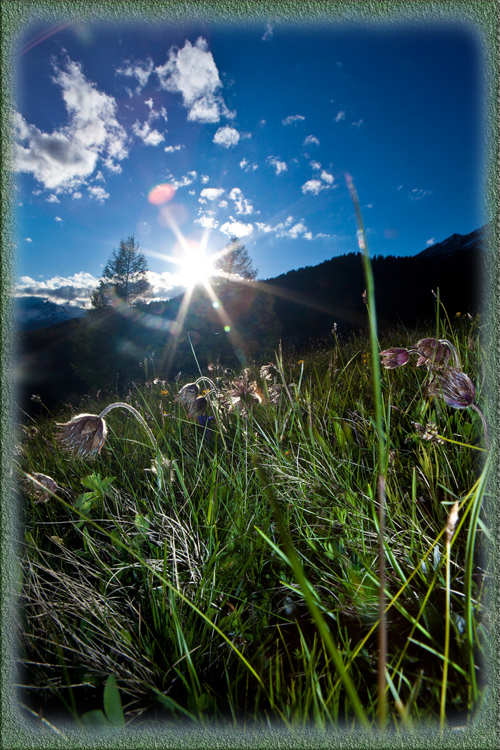 Das letzte Abendlicht