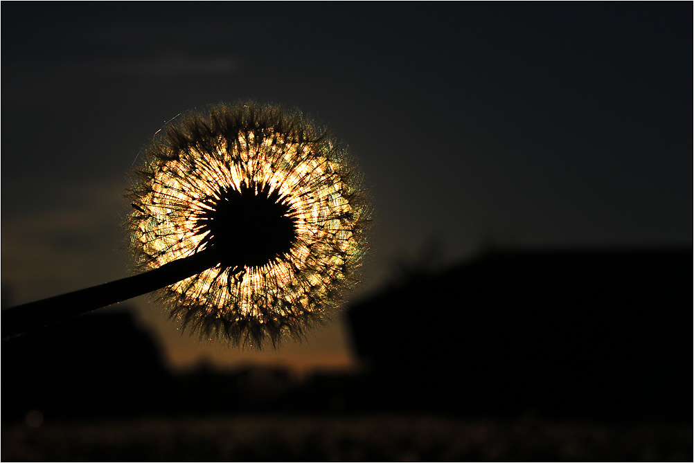 das letzte Abendlicht