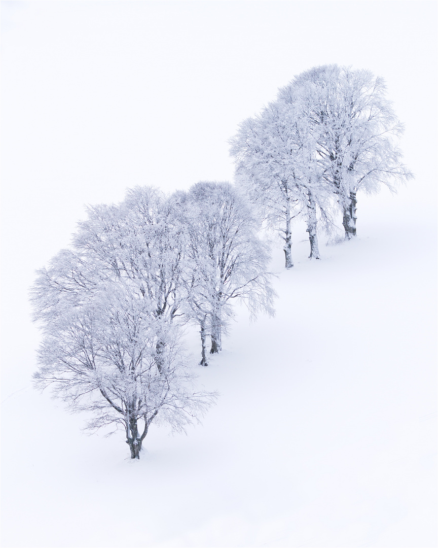 Das letzte Aufbäumen des Winters...