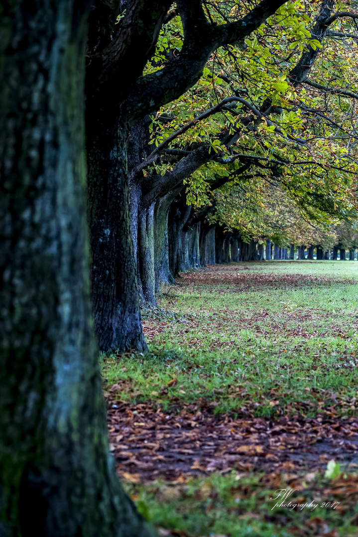 Das letzte "Aufbäumen" (vor dem Herbst)