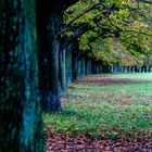 Das letzte "Aufbäumen" (vor dem Herbst)