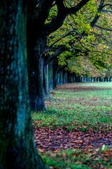 Das letzte "Aufbäumen" (vor dem Herbst)