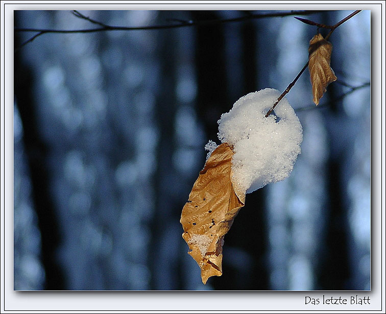 Das letzte Blatt