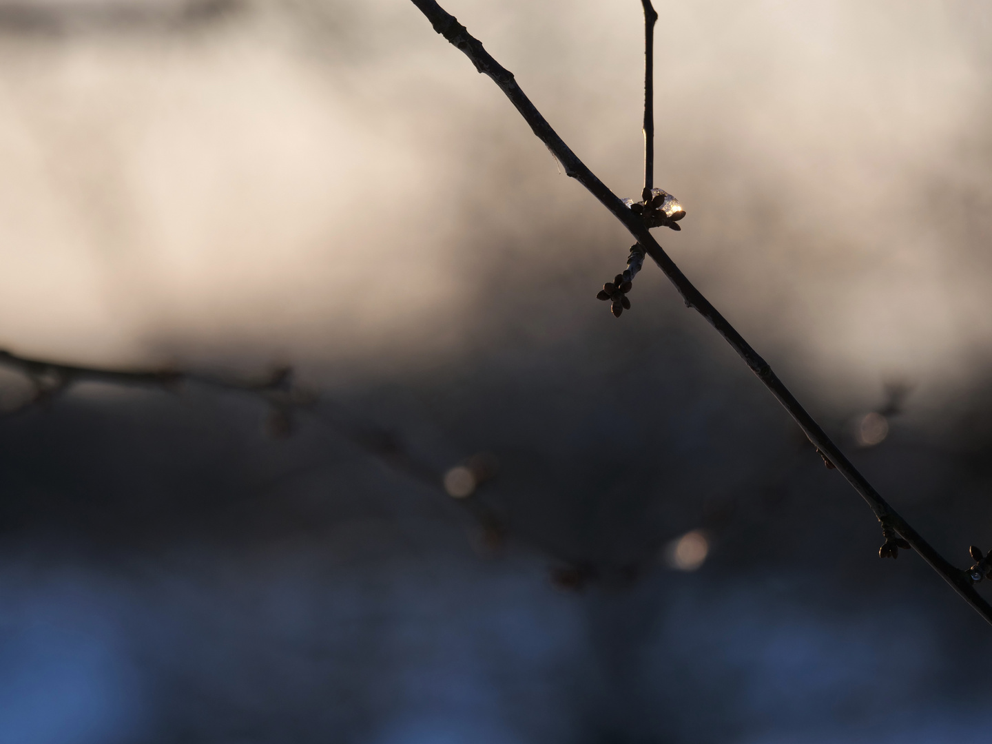 Das letzte Blau vom Schnee