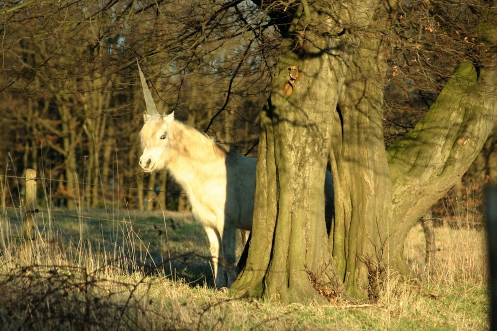 Das letzte Einhorn