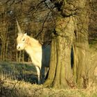 Das letzte Einhorn