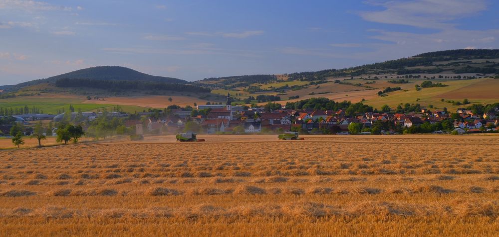 das letzte Feld wird geerntet