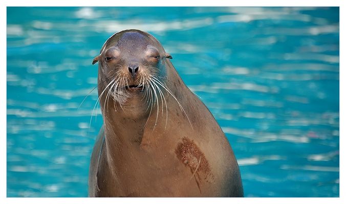 Das letzte Glas Bier war wohl doch zu viel....