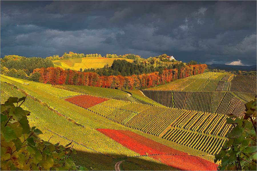 Das letzte Herbstbild?