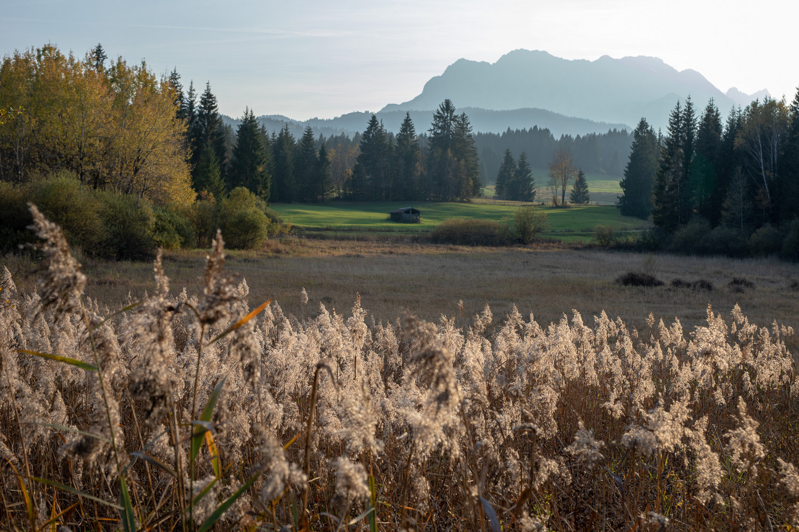 Das letzte Herbstfoto 2018