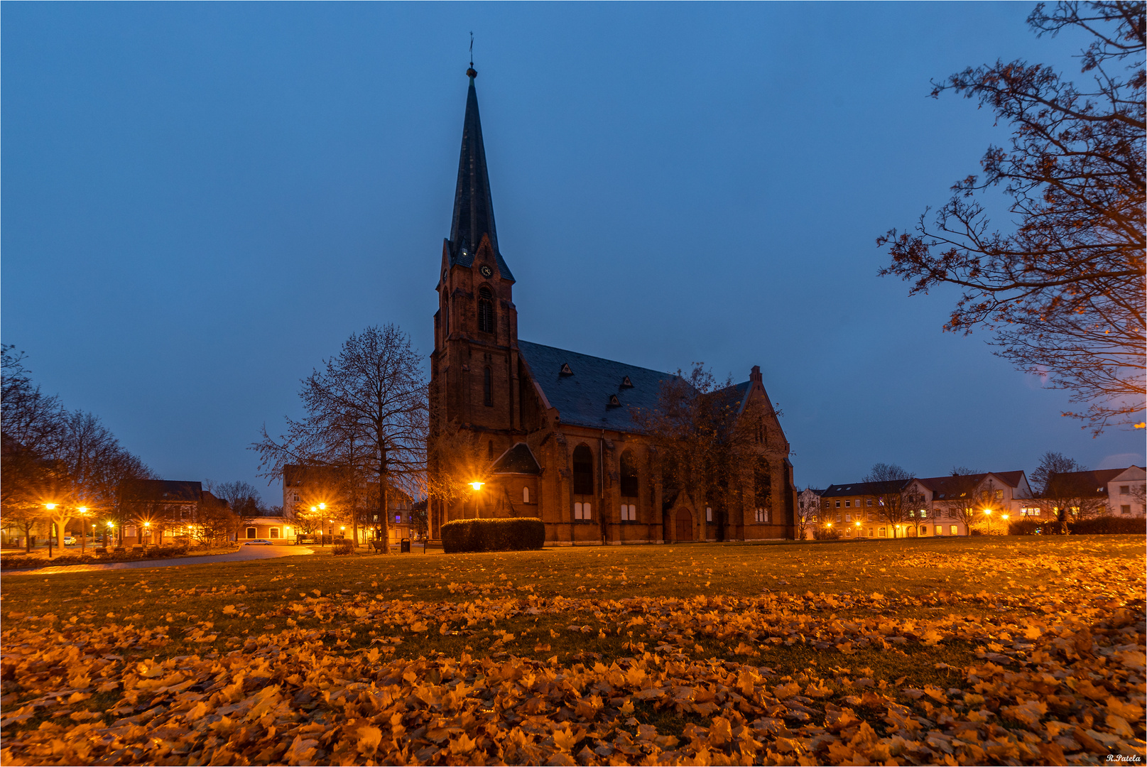 Das letzte Herbstlaub...