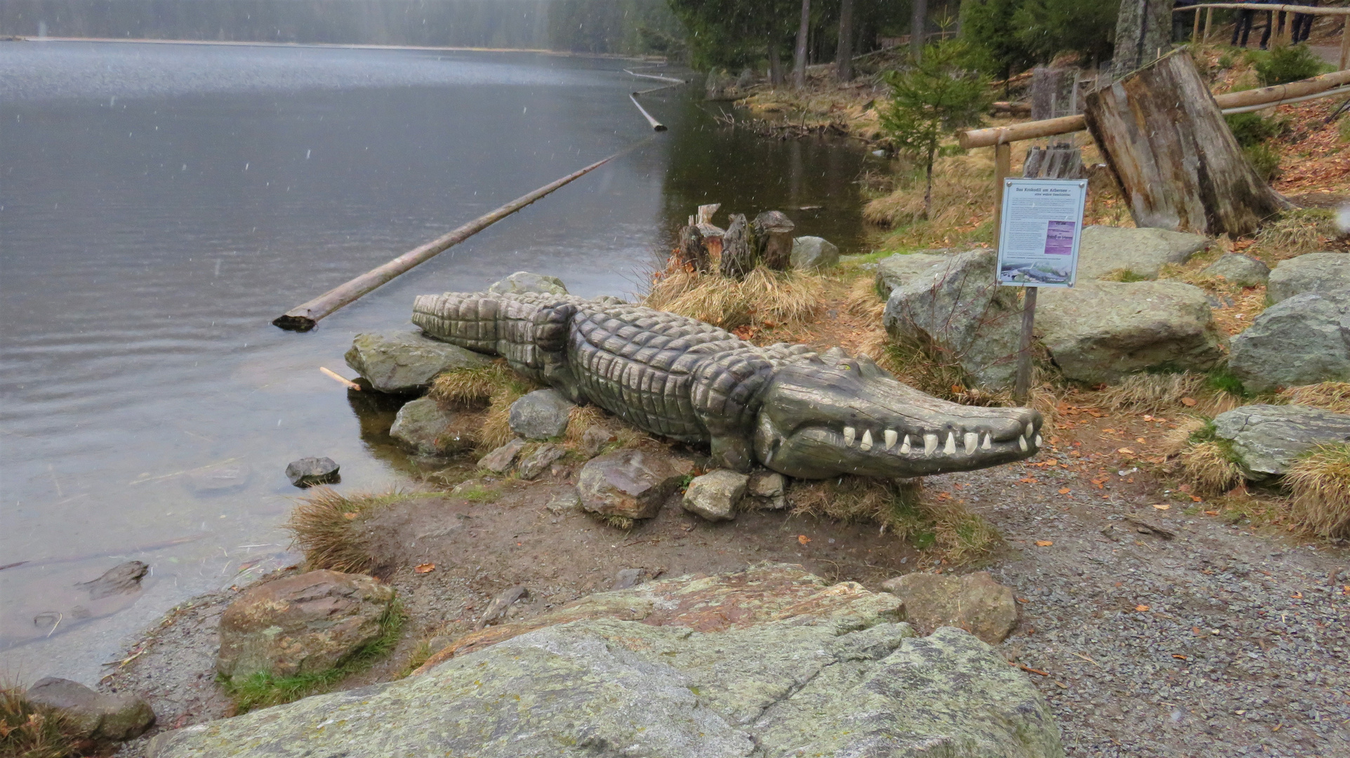 Das letzte Kokodil  am Arbersee 