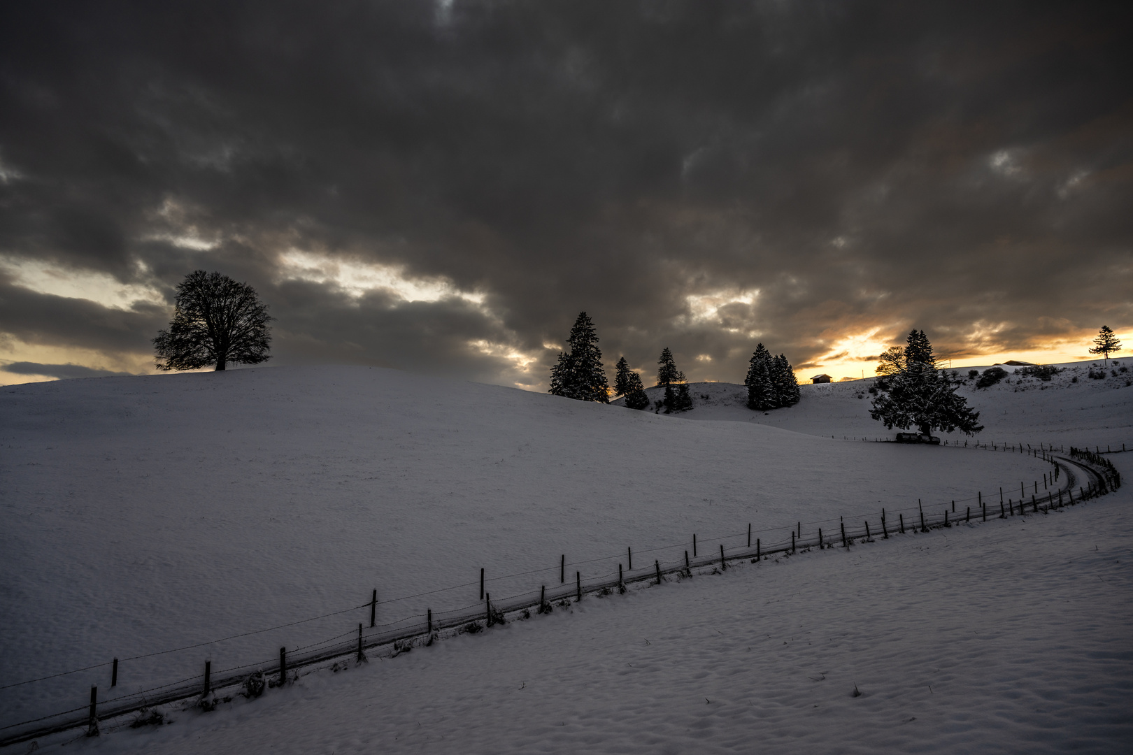 Das letzte Licht