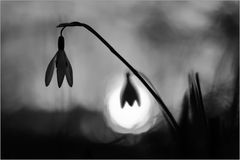 Das letzte Licht...