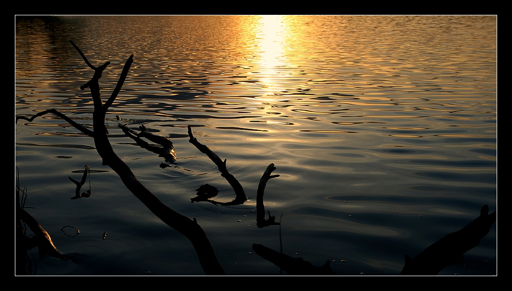 Das letzte Licht am Abend