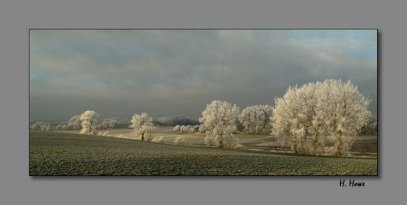 Das letzte Licht an einem schönen Tag