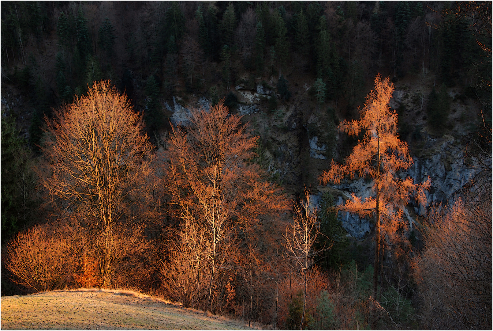 Das letzte Licht auf den letzten Blättern