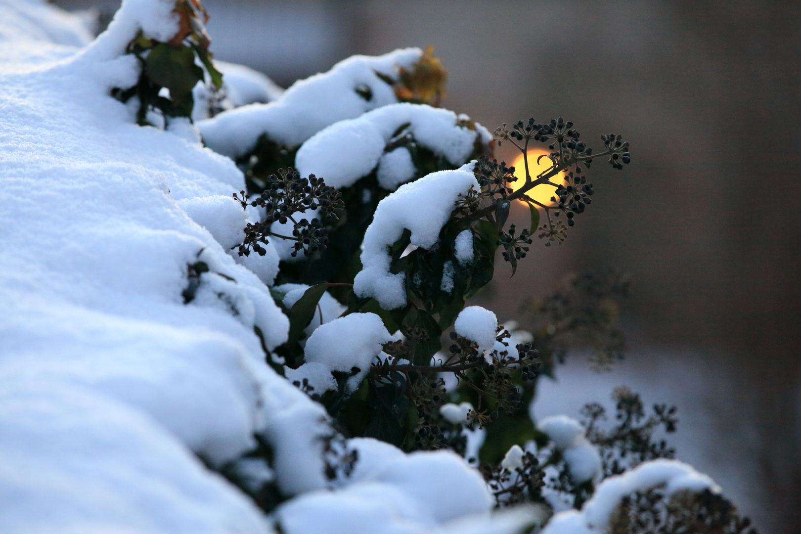 ...das letzte Licht...