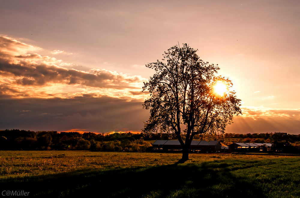 Das letzte Licht des Tages