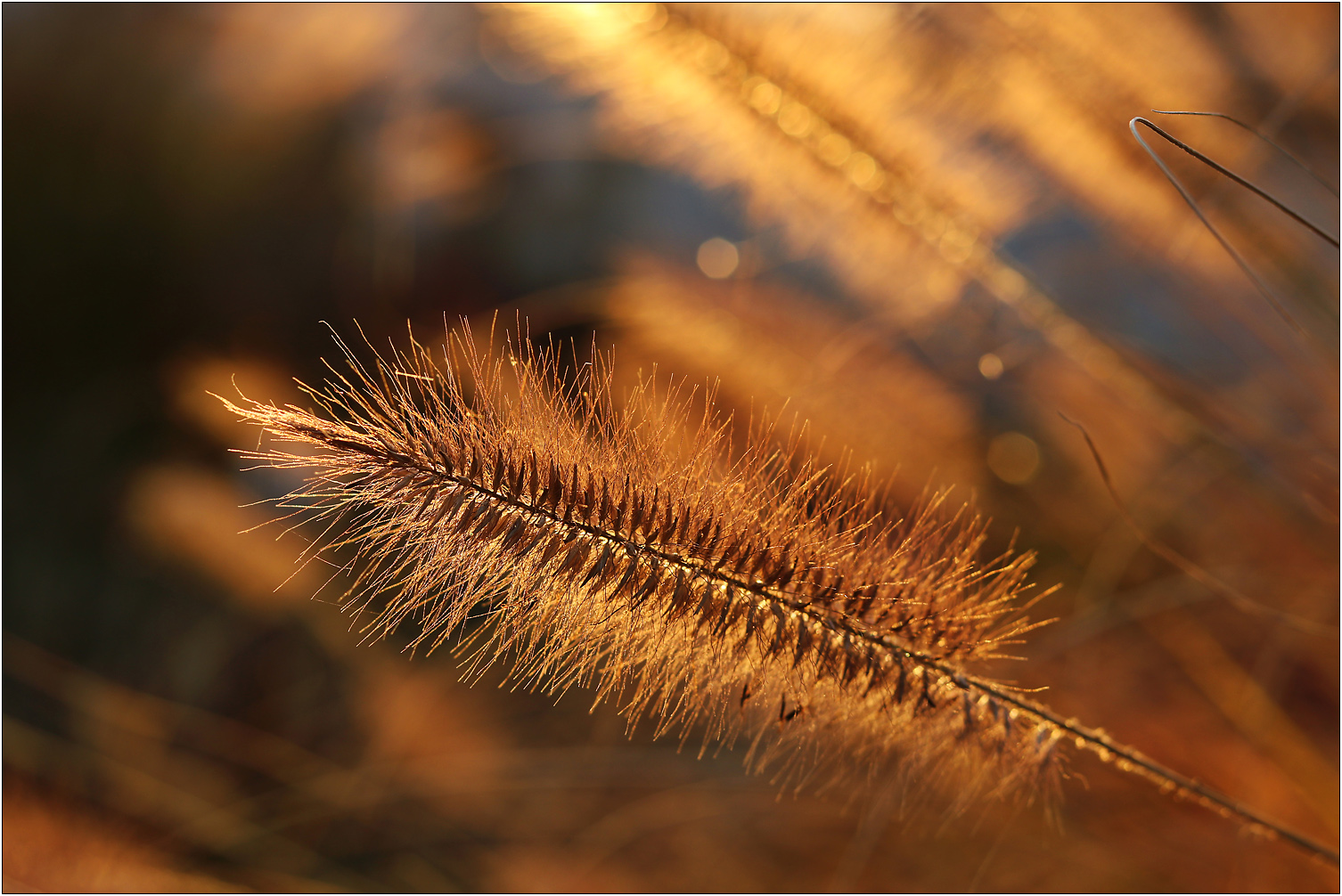 Das letzte Licht des Tages...