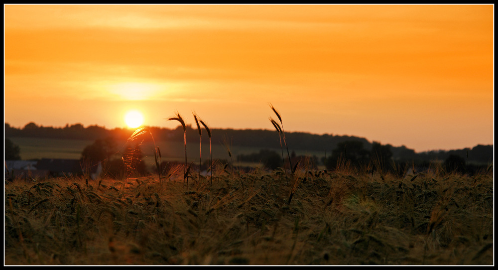 Das letzte Licht des Tages