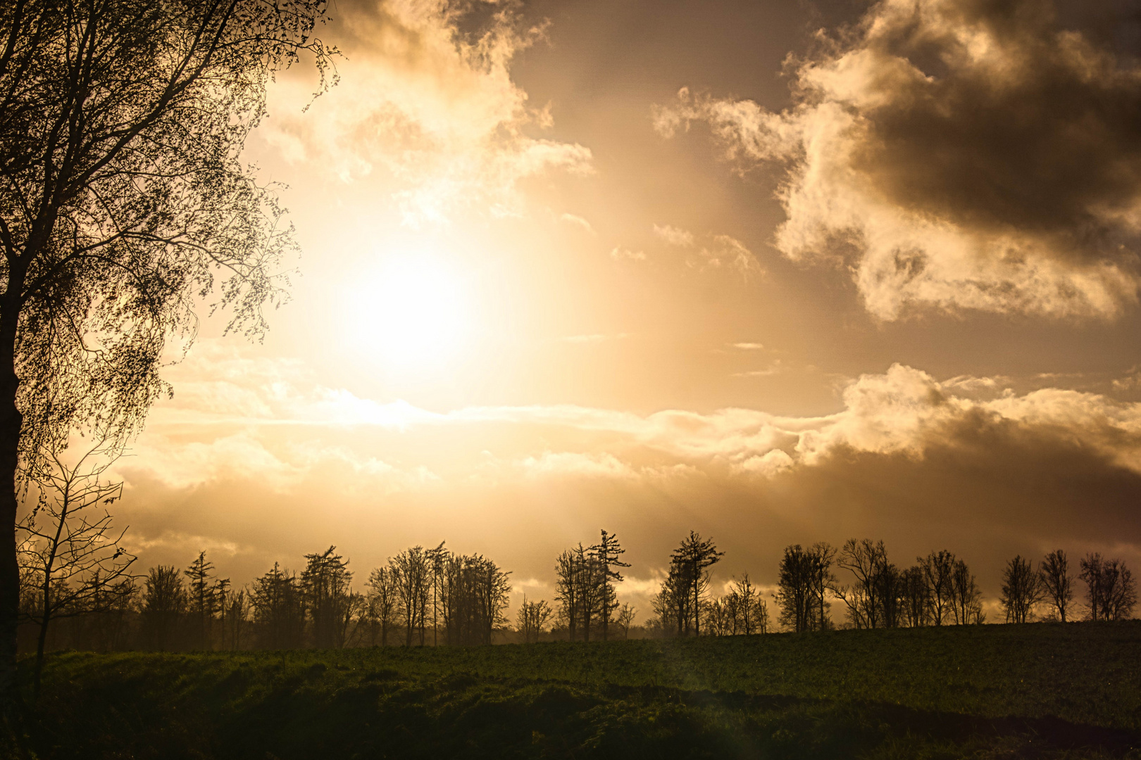 Das letzte Licht des Tages