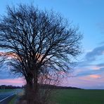 Das letzte Licht des vergangenen Jahres