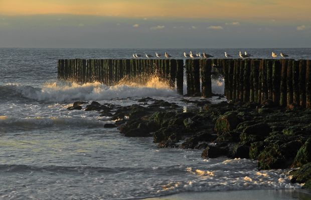 Das letzte Licht genießen