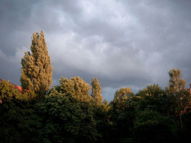 Das letzte Licht vor dem Sturm