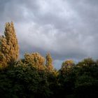 Das letzte Licht vor dem Sturm