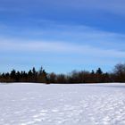 Das letzte mal Winter...