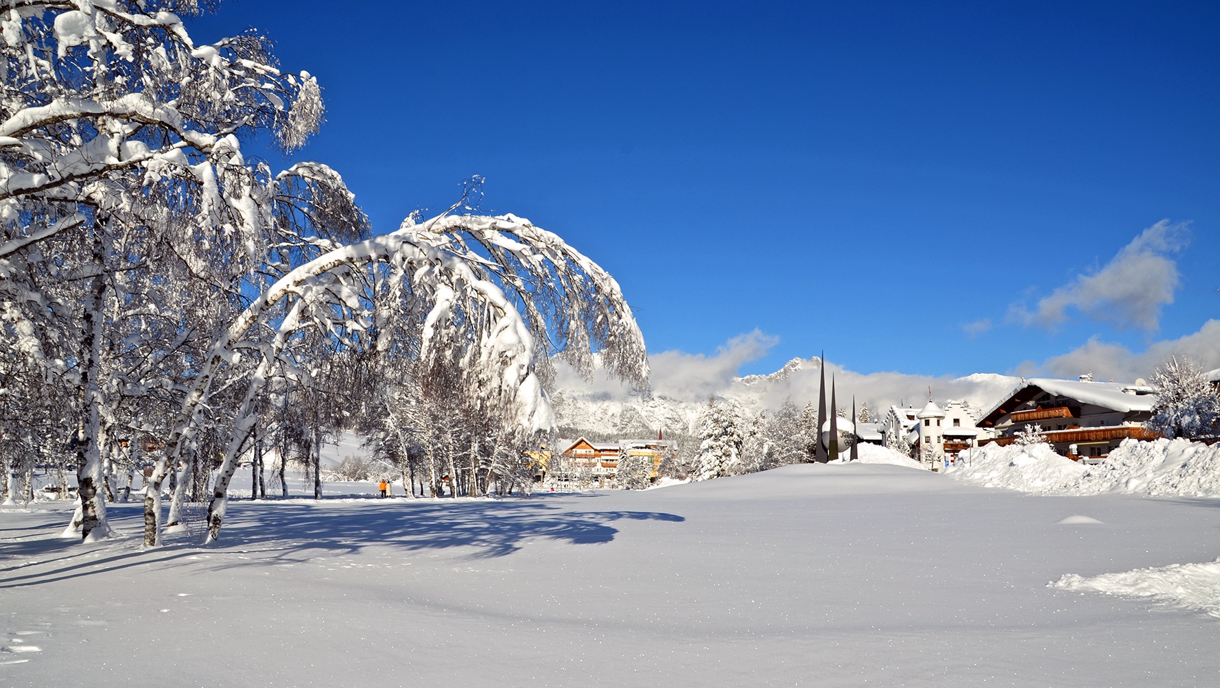 Das letzte Schneefoto