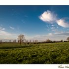 Das letzte Sonnenlicht im April