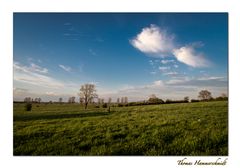 Das letzte Sonnenlicht im April