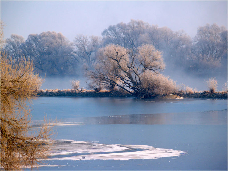 Das letzte Stück freifließende Donau