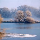 Das letzte Stück freifließende Donau