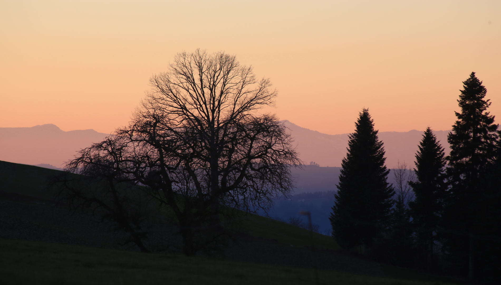 Das letzte Tageslicht