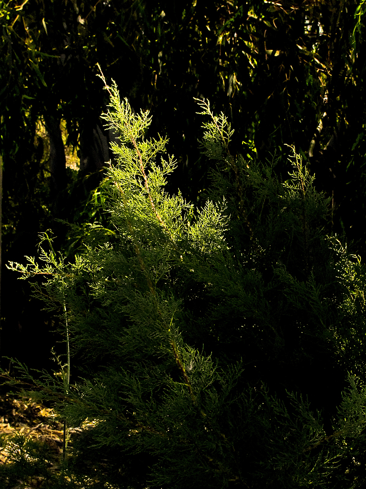 Das letzte Tageslicht einfangen / Catturare la ultima luce del giorno (1)