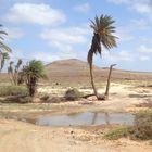 Das letzte Wasserloch auf Boa Vista