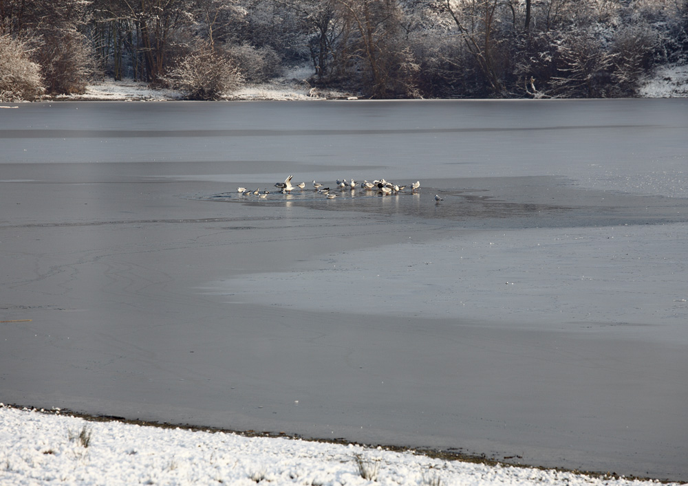 Das letzte Wasserloch