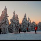 Das letzte Winter-Shooting?