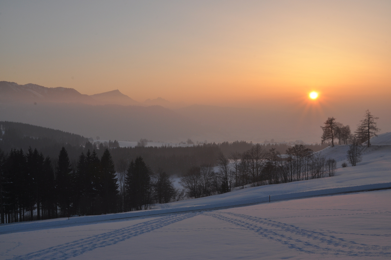 Das letzte Winterbild.