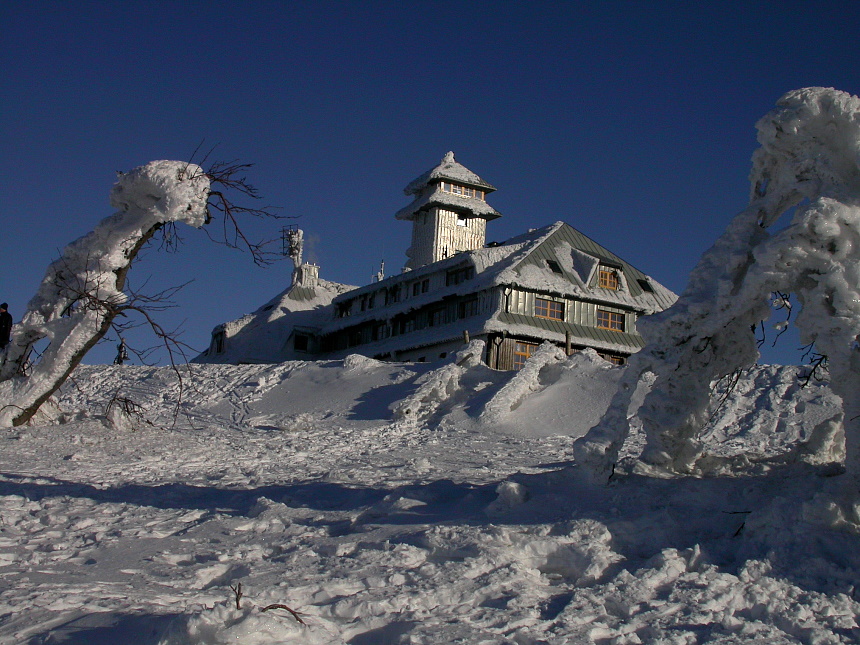 Das letzte Winterbild!