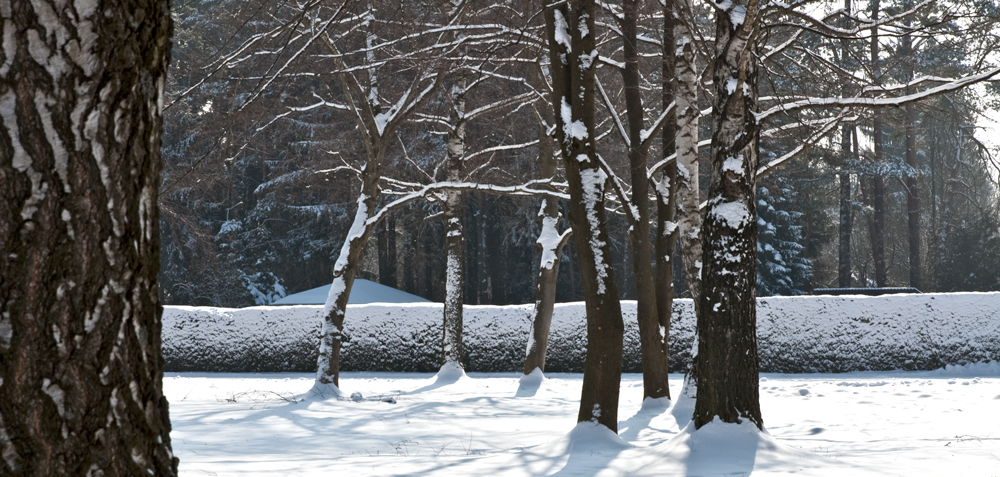 DAS LETZTE WINTERBILD-HOFFENTLICH