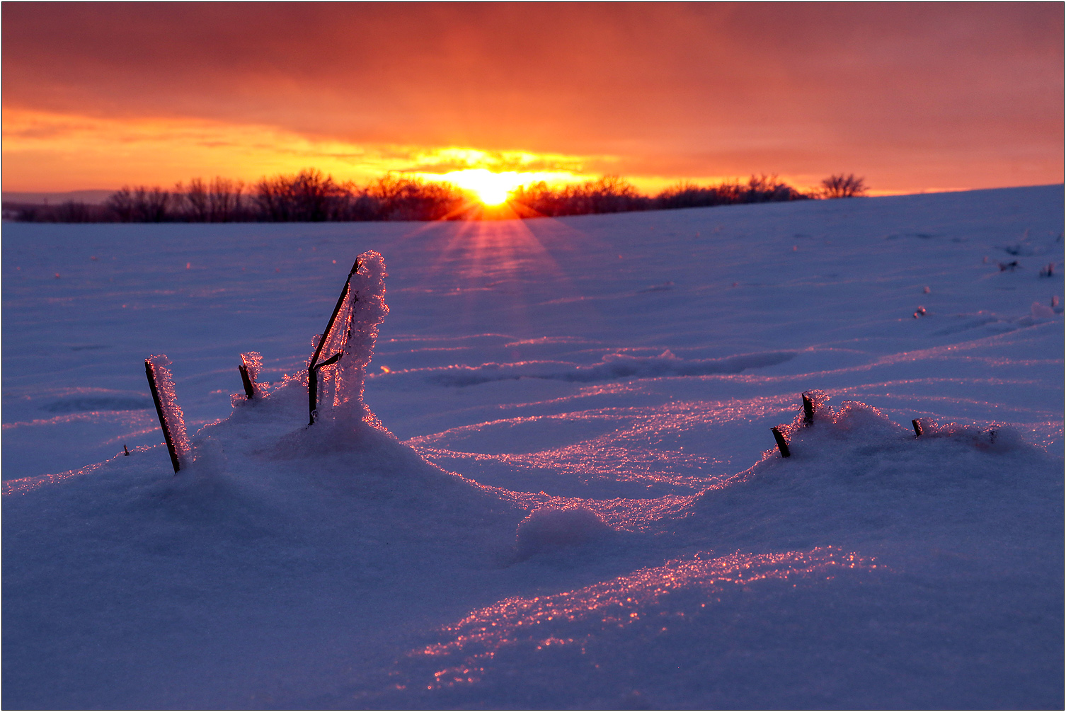 Das letzte Winterlicht...